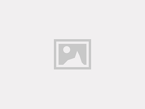 Adana İnanılmaz Escortlar İpek & Aynur